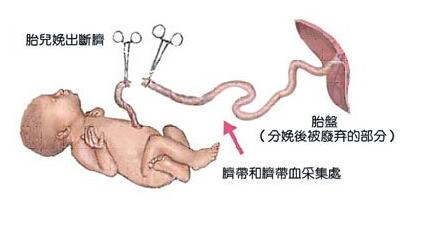 宝宝胎死腹中自己会不会莫名难过（这篇文章传疯了）