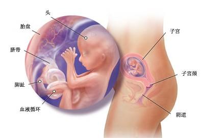 宝宝胎死腹中自己会不会莫名难过（这篇文章传疯了）