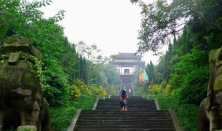 南充旅游攻略景点必去（南充旅游攻略景点必去一日游）