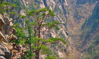 富川有哪些景点值得去 富川有什么景点